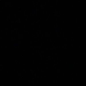 Meet your Posher, Sophia